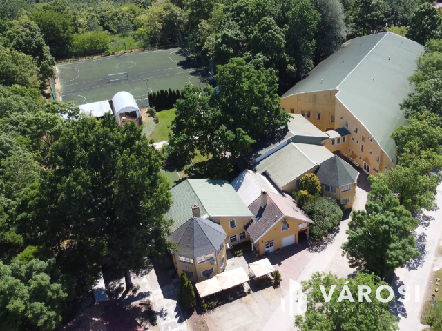 Békéscsabai paradicsom