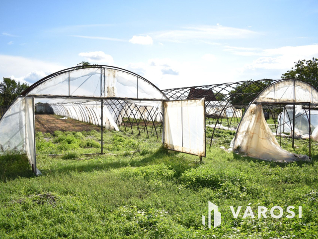 Kiváló lehetősség termelőknek!