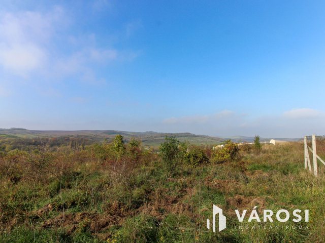 Elvonulni vágyók figyelmébe, panoráma, erdő a szomszéd