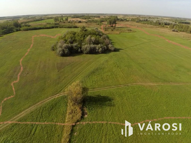 15 hektáros birtok Szegedhez közel