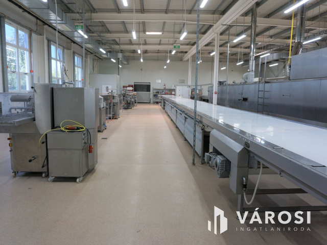 Ausztria határától mindössze 7 km-re korszerű telephely!