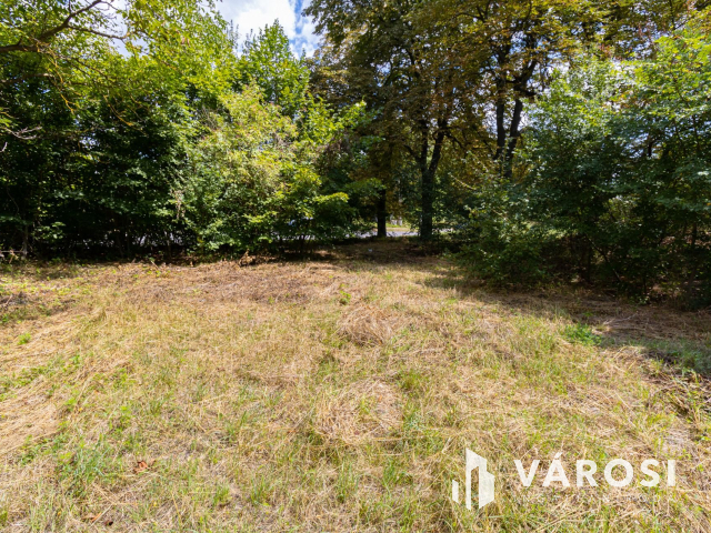 Pilismaróton, belterületi telek, most akciós áron eladó