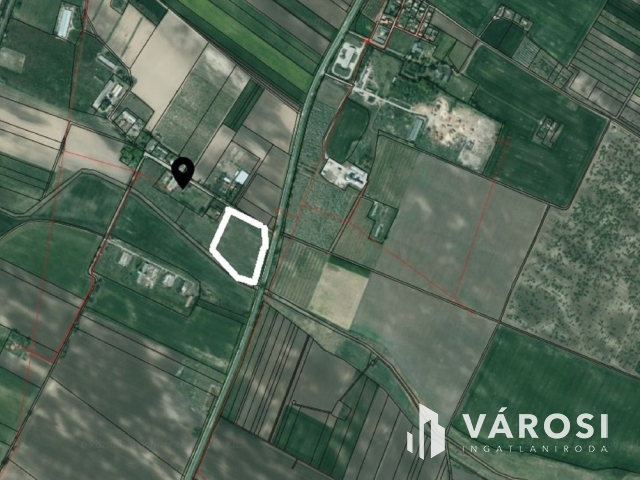 Telephelyet keres üzleti vállalkozásához?