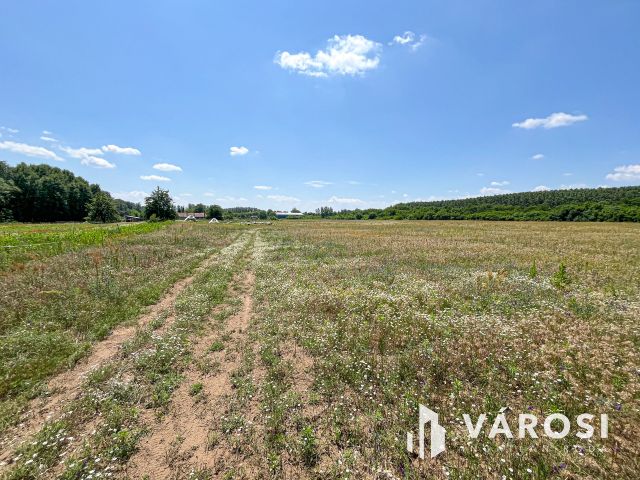 3 hektáros ipari terület Debrecenben!