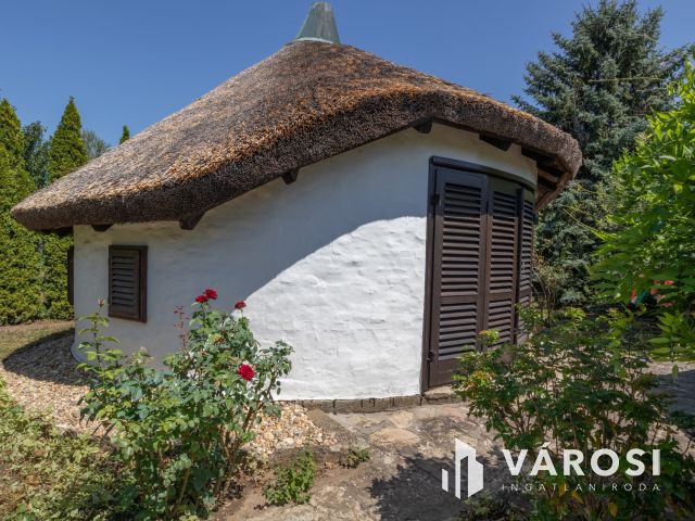 Újszegedi telek kulipintyóval