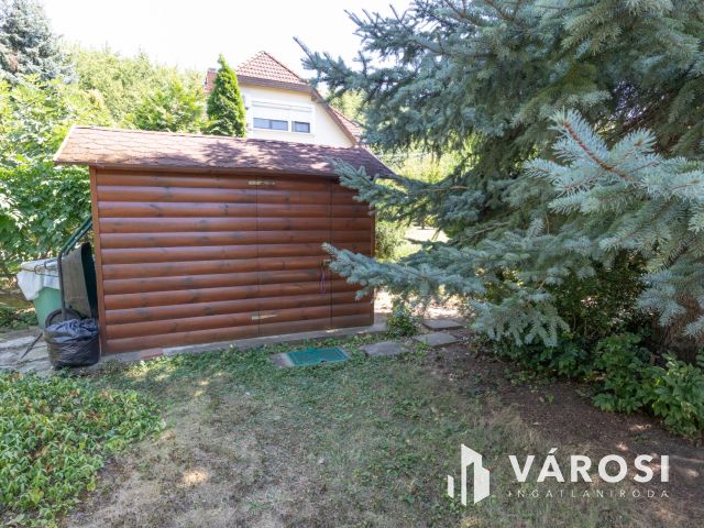 Újszegedi telek kulipintyóval