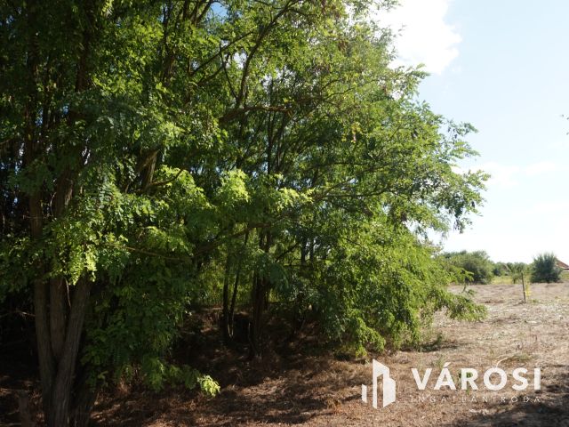 Startra kész az építkezésre!