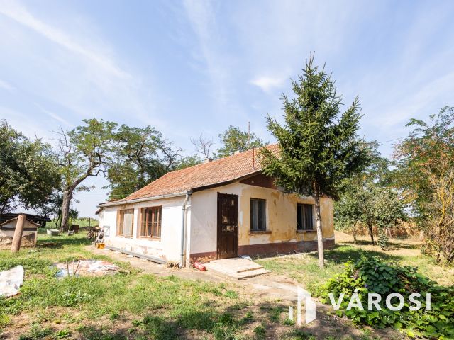 Tanya földdel vagy föld nélkül? Döntse el Ön!