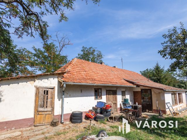 Tanya földdel vagy föld nélkül? Döntse el Ön!