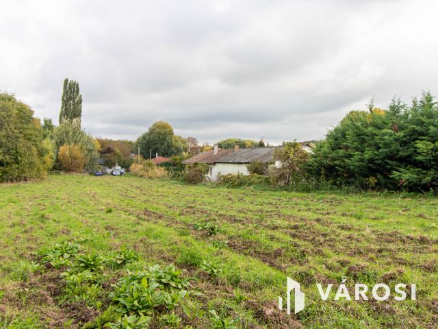 Akár 5 telek kialakítására alkalmas belterületi telek