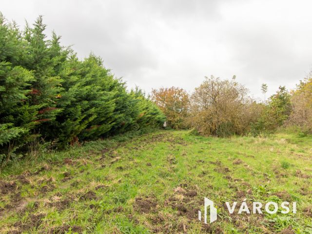 Akár 5 telek kialakítására alkalmas belterületi telek