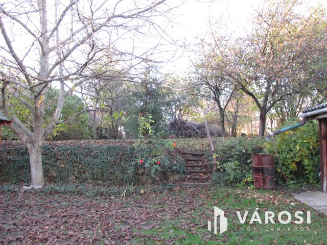 Egy központi elhelyezkedésű nagypolgári ház Érsekvadkerten