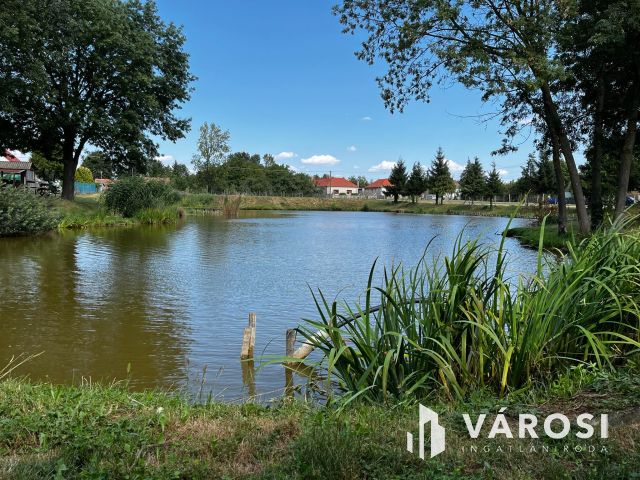 Simaság belterületi horgásztó,engedélyekkel6000m2 eladó!