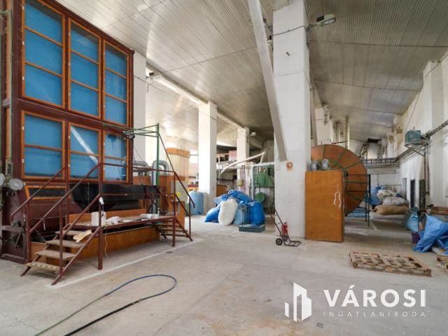 Eladó ipari ingatlan – nagy terekkel és saját kúttal!
