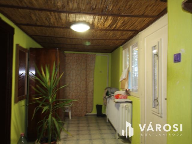 Komfortos tanya a Csongrád-bokrosi szőlővidéken