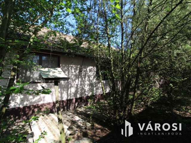 Komfortos tanya a Csongrád-bokrosi szőlővidéken