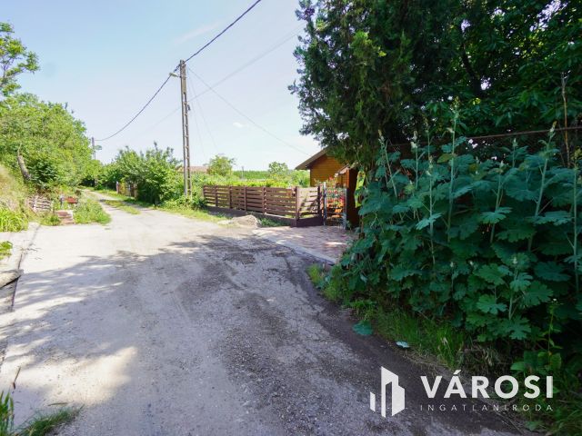 Hangulatos nyaraló Fóton!