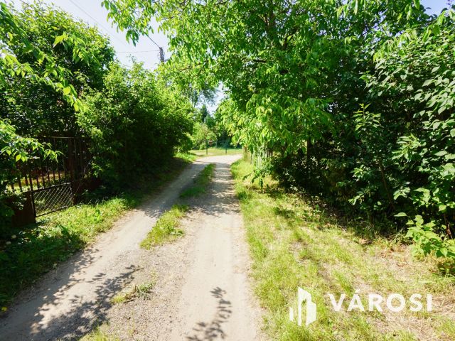 Hangulatos nyaraló Fóton!