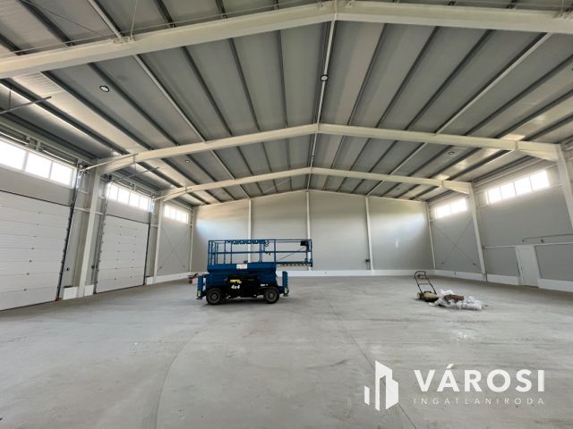 Figyelem!!! Déli Ipari park, telephely, csarnokok, irodák!