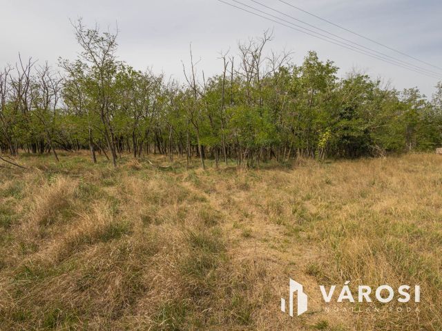 Teljesen felújított tanya nagy területtel és vízparttal