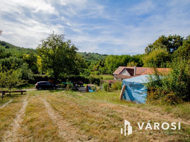 Erdő közepén, a természet szomszédságában élni jó.