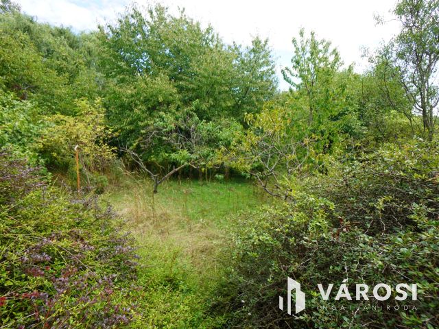 Hatalmas telek eladó Ecseren!