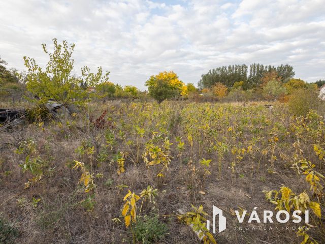 Hétvégi kikapcsolódásra vágyóknak ideális!