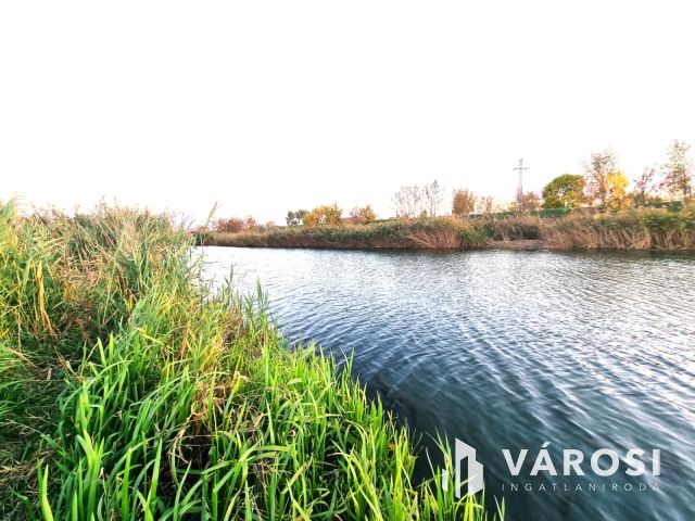 Vízpart közeli telken, kiváló szerkezetű tégla ház eladó