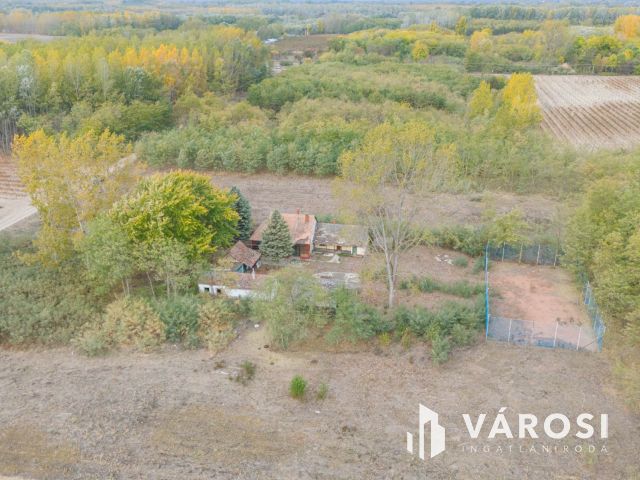 Vadkerti tó mellett teljes a nyugalom