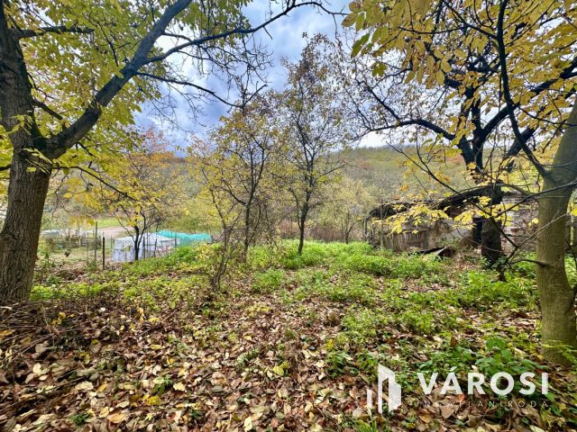 Kazinczy úton felújítandó családi ház eladó!