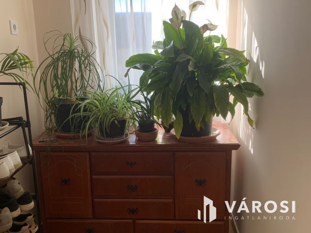 Költözz egy teljesen megújult ingatlanba Hajdúböszörményben