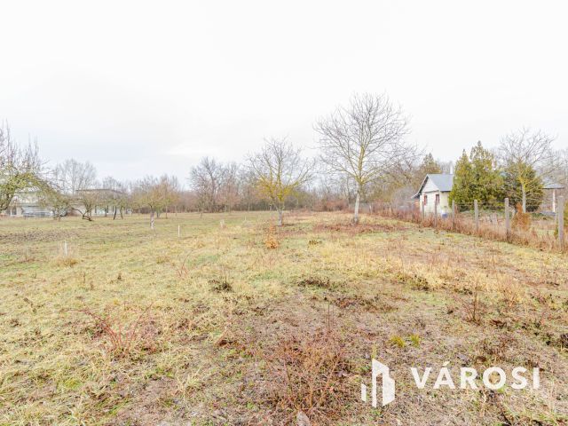 Méretes telek lakóházzal a füvészkert közelében 2