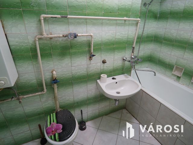 Platán soron, földszinti lakás