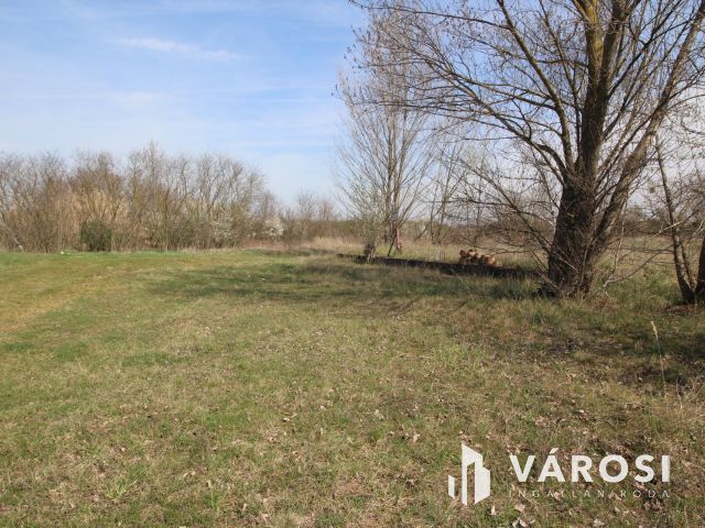 Építési telek vállalkozásoknak, Sárváron