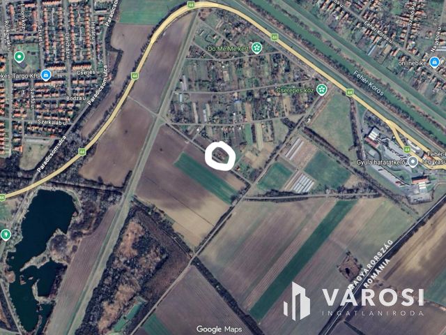 Tágas zártkert termő gyümölcsfákkal a Körös mellett