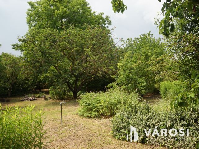 Takaros családi ház, madárcsicsergős környezetben!